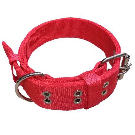 Nylon adjustable hotsell dog collars