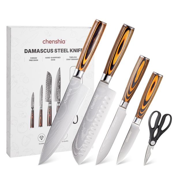 Chenshia 5Pc Damascus Chef Knife Set Professional Japanese Sushi Kitchen