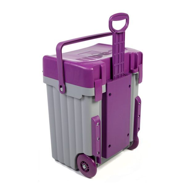 Cadii Bag - Grey &amp; Purple