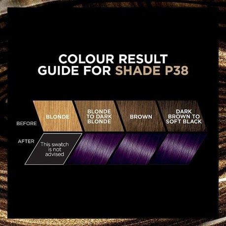 LOreal Preference Permanent Hair Dye - Deep Purple | Buy Online in South  Africa 