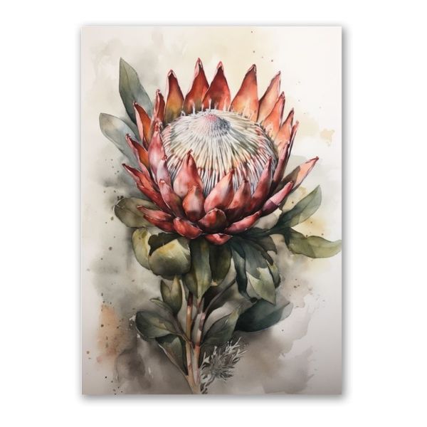 Dark Watercolour Protea Canvas Floral Wall Art