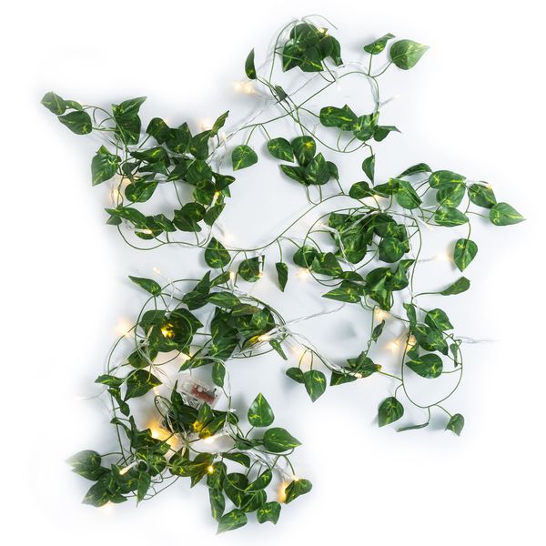 Green Ponthos Vine Fairy Lights 5m 50 LED lights- Battery Operated