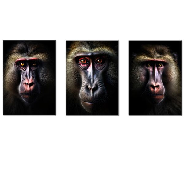 Canvas-Art-3 Pieces Black &amp; Grey Monkey II Animals Wall Art