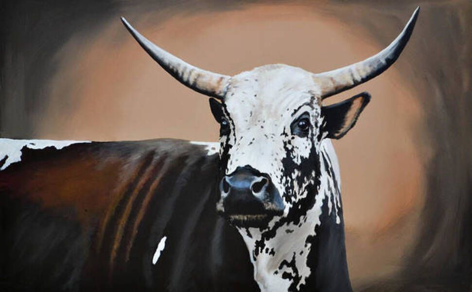Canvas Wall Art - Nguni Cow Artwork