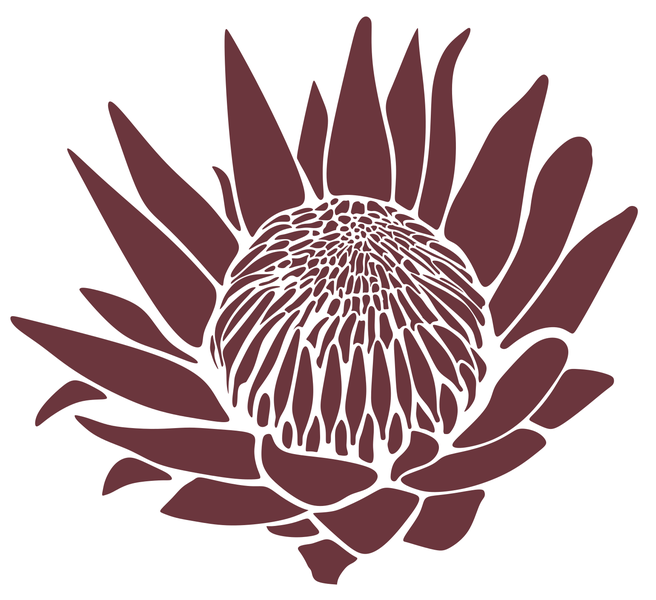 Beautiful Large King Protea Stencil