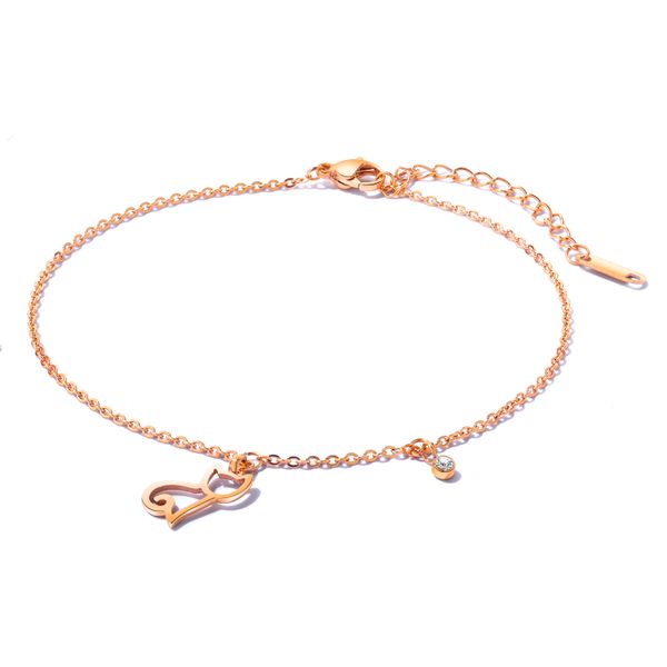 Stainless Steel Ladies Ankle Bracelet - SH-AB-GZ076,