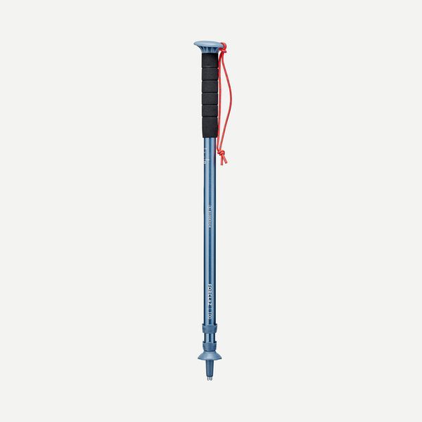 Forclaz 1 Affordable Hiking Pole - Mt100 Blue