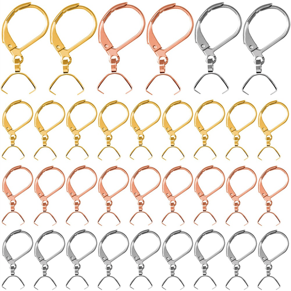 60Pcs Stainless Steel French Earring Hooks for DIY Jewelry Making