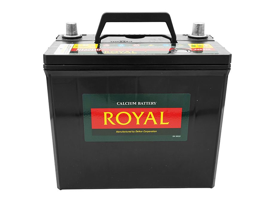 Royal Delkor NS60 45AH Battery - 12 Volt | Shop Today. Get It Tomorrow ...