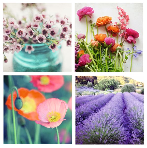 Flowers - Greeting Cards Pack of 4