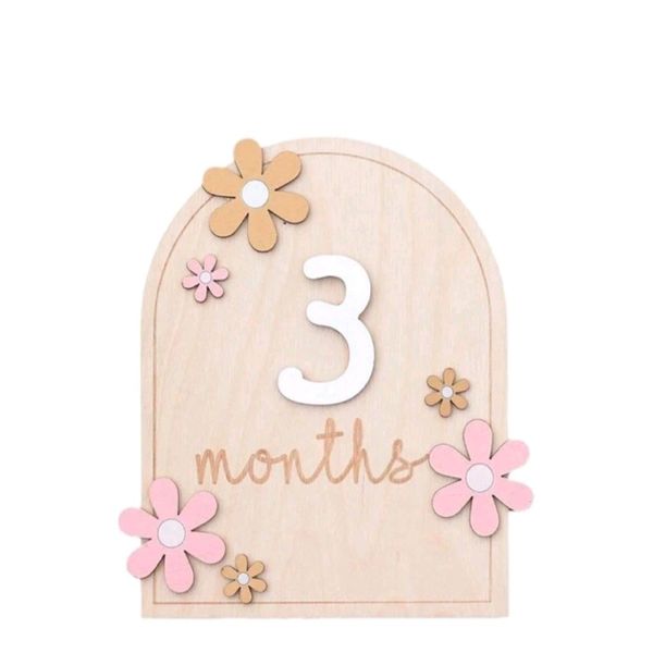 Wooden Baby Monthly Milestone Disc