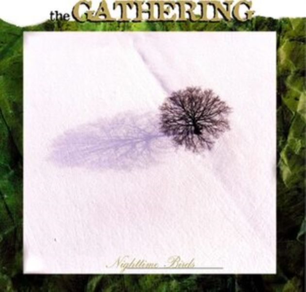 Nighttime birds (CD / Album)