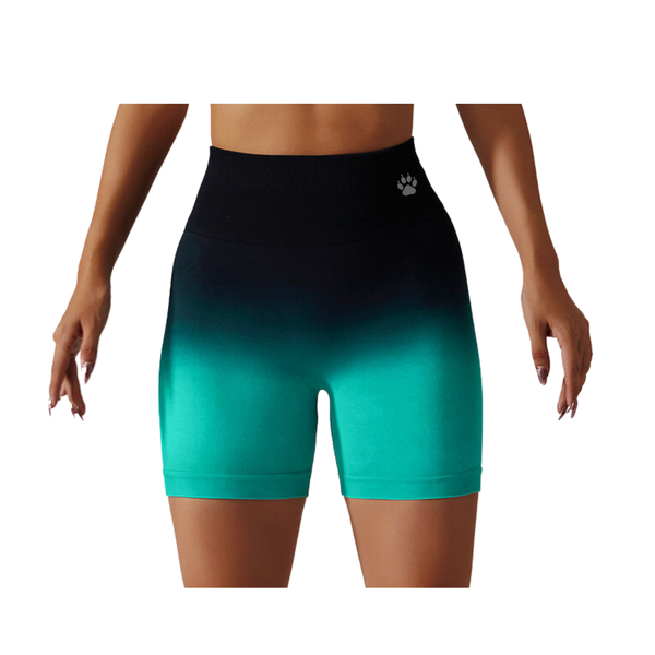 GYMPANTHER Gradient Lumina Squat-Proof Yoga Tight Shorts