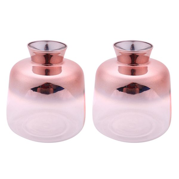 Nordic Electroplated Gold Glass Flower Vases For Home Decor(9X11Cm)
