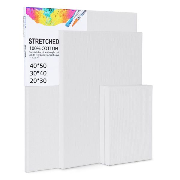 3 Piece Canvases for Painting-Cotton Art Panels for Acrylic, Oil, and Watercolor