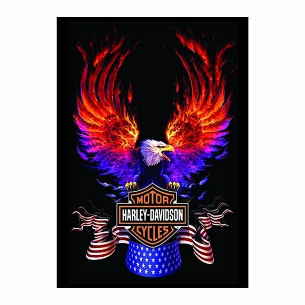 Harley Davidson Color - A1 Poster