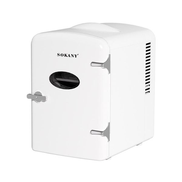 4L Portable Mini Fridge Cooler Warmer for Home, Office Car with AC/DC Plug