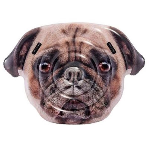 Intex Pug Face Island