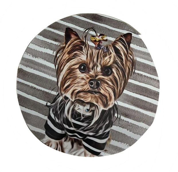 Mouse Pad - Brown Yorkie Dog