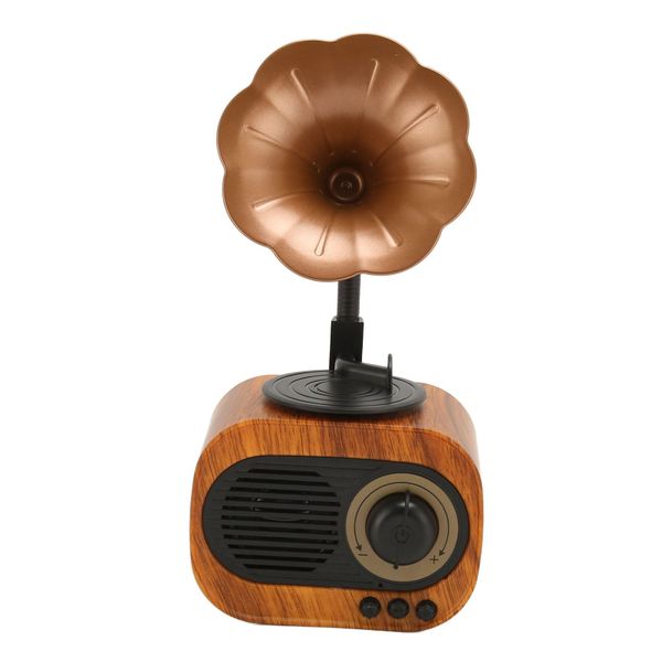 Retro BT Speaker, Phonograph, Radio