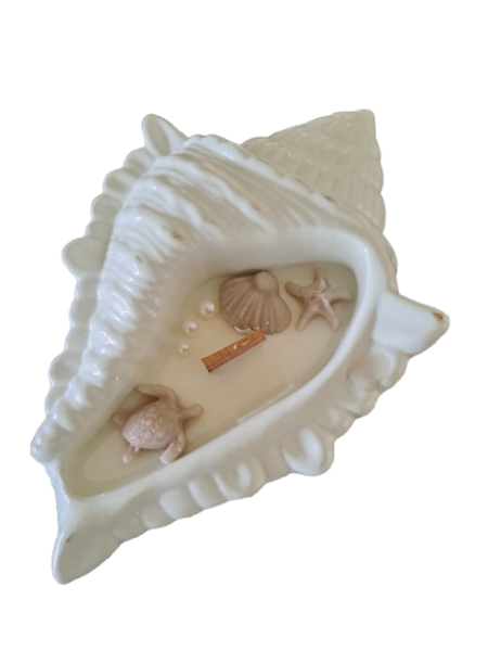 Coastal Charm Shell Candle, Soy wax, 15cm Vanilla scent