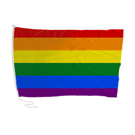 Gay Pride Flag 180 x 120cm | Shop Today. Get it Tomorrow! | takealot.com