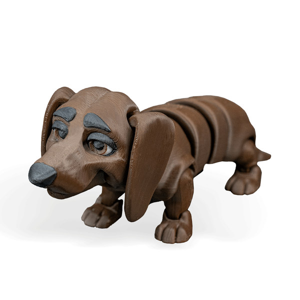 Winston, The Daschshund