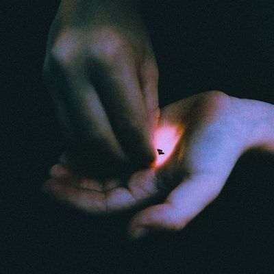 Stray (Vinyl / 12" Album)
