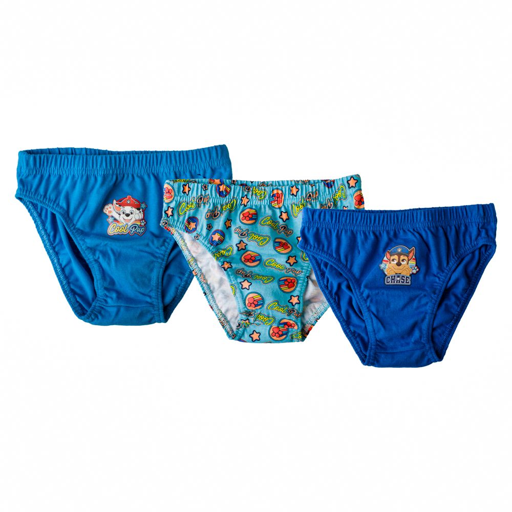 Paw Patrol Boys Brief Underwear, 5+1 Bonus Pack (Little Boys & Big