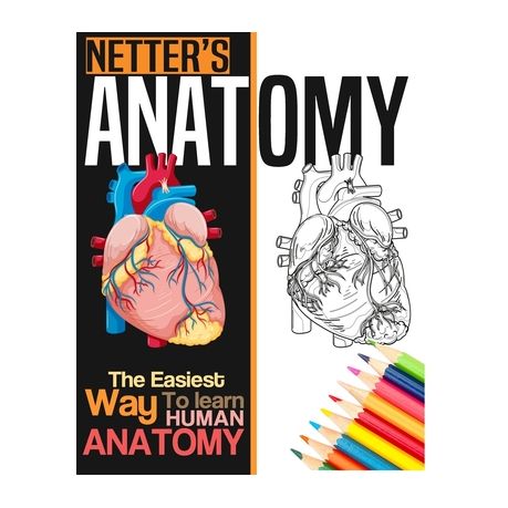 Download Netter S Anatomy Coloring Book Neuroanatomy Human Body Workbook Buy Online In South Africa Takealot Com