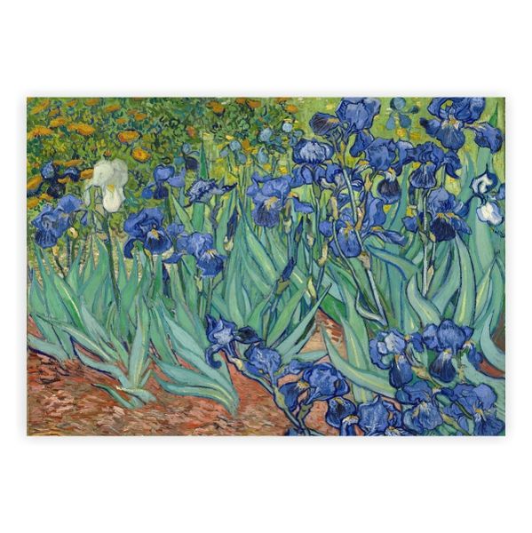 Vincent van Gogh - Irises (1889) - A1 Poster