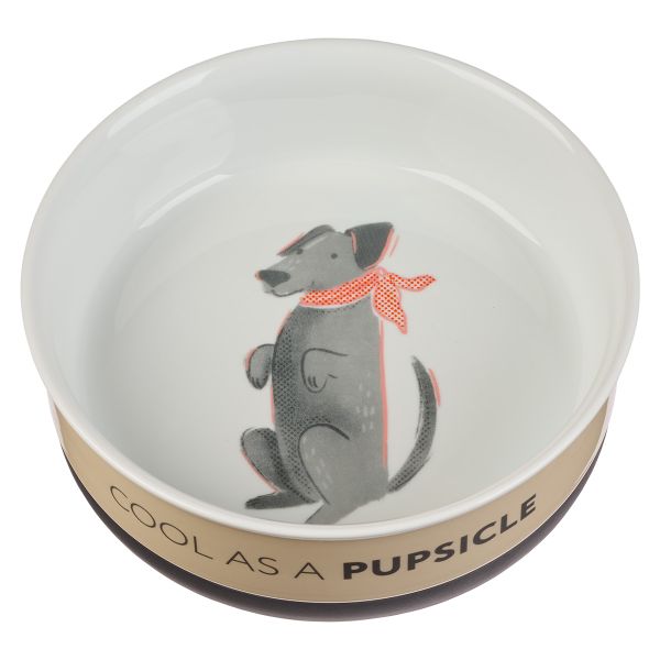 The Fur Side - Large Ceramic Pet Bowl - Cool As A Pupsicle, Grey