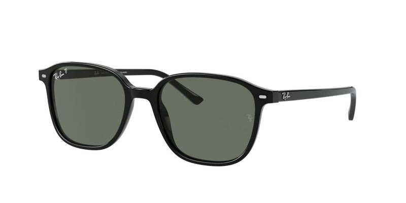 Ray-Ban Leonard RB2193 901/58 53 Polarized Sunglasses