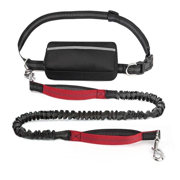 Retractable pet dog Running Sports Nylon Waist bag Leash set