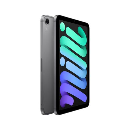 Apple iPad Mini 7 Wi-Fi + Cellular 256GB | Shop Today. Get it