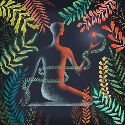 Don't Shy Away (Vinyl / 12" Album Coloured Vinyl)