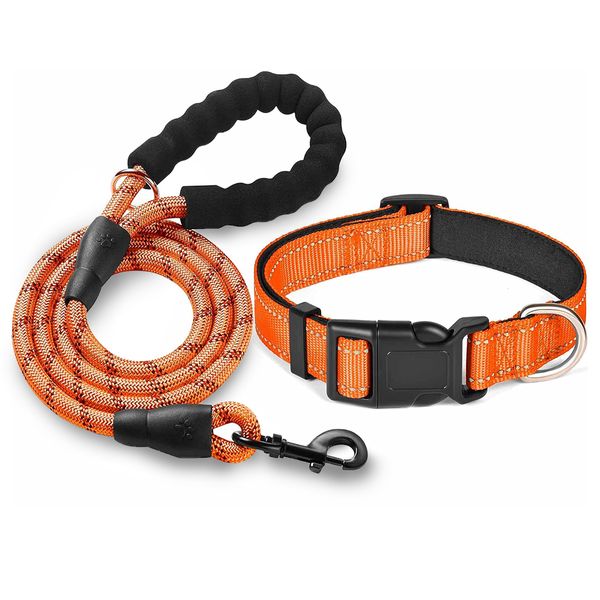 Reflective Adjustable Dog Collar and Leash
