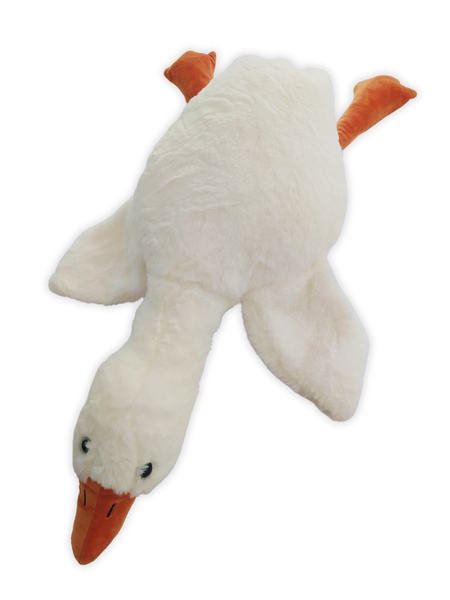 55Cm image