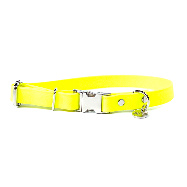 Waterproof Dog Collar - Neon Yellow