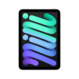 iPad mini (第7世代) 256 Wi-Fi + Cellular iPad mini 7 WiFi+Cellular 256GB Purple