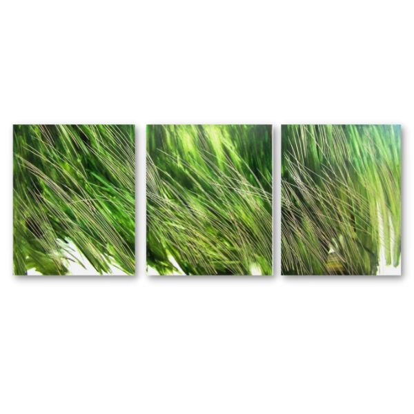 Delicately Carved Wood Art - Grass Blowing in Wind - 3 Piece