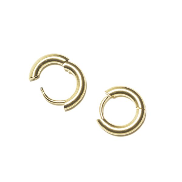Hoop Earrings