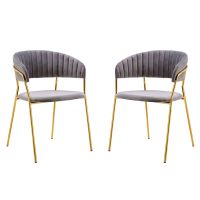 Modern Velvet With Gold Metal Leg Dining Room Chair - Set of 2