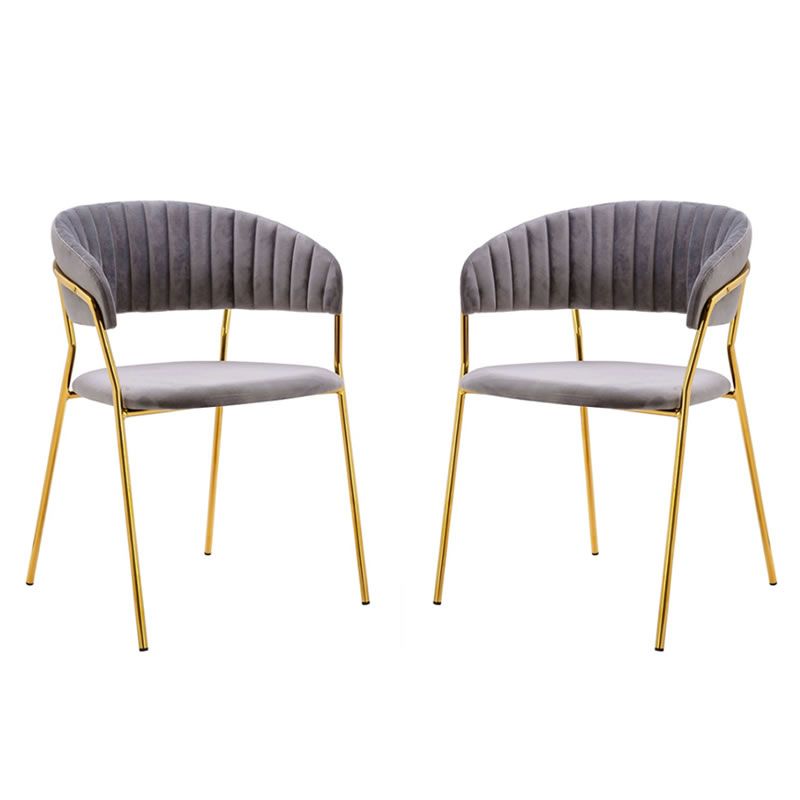 Modern Velvet With Gold Metal Leg Dining Room Chair Set of 2 Shop