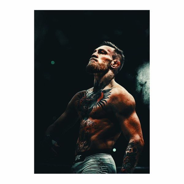 Connor Mcgregor Celebration Pose - A1 Poster