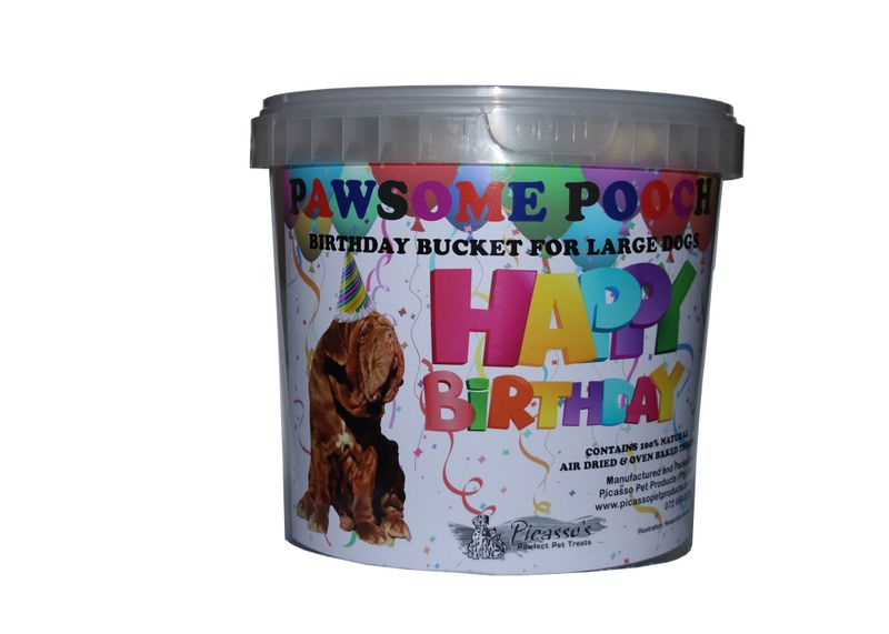 Picasso's - Birthday Bucket for Large Dogs