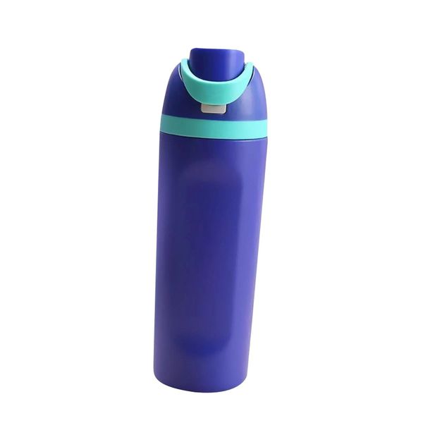 700ml Stainless Steel Insulated Bottle