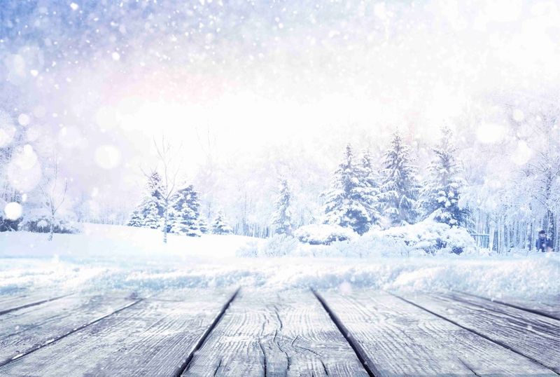 Laptop Skin Snow Deck