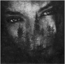 The Ashes of Light (CD / Album)