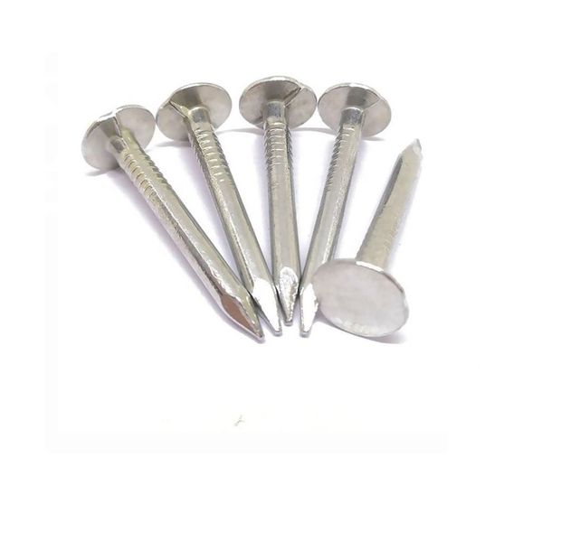 Ceiling Clout Nail 50 Piece